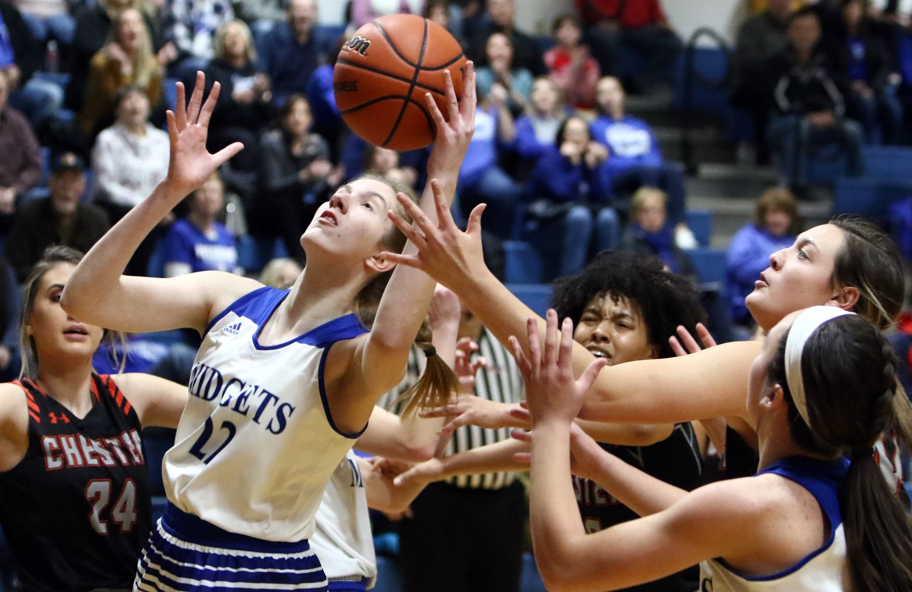 Freeburg 36, Chester 29